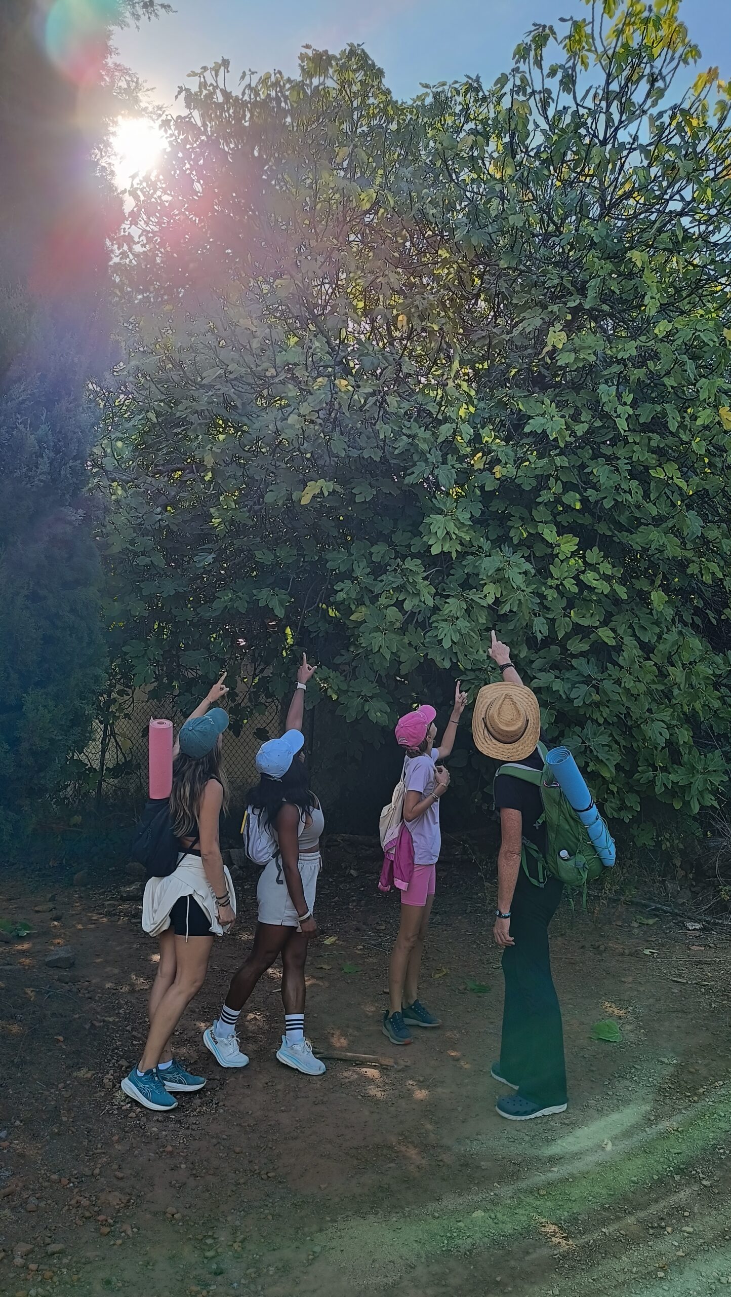 Baño de bosque - Imagen 4