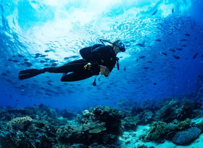 Buceo en La Herradura - Imagen 2