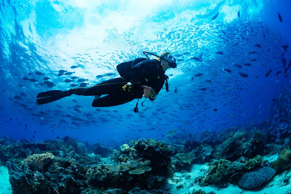 Buceo en La Herradura - Imagen 2