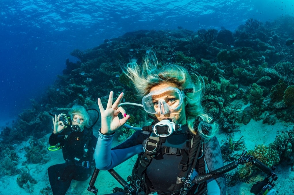 Buceo en La Herradura